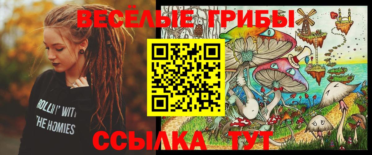 Мытищи  Псилоцибиновые грибы Psilocybe  Вход с VPN 