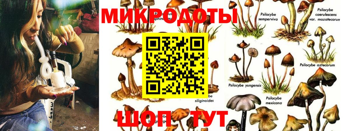 Галлюциногенные грибы Psilocybine cubensis Мытищи